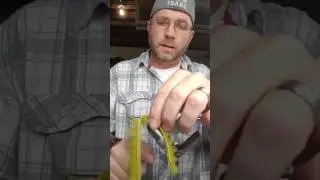 Beginners fly tying, rabbit strip flesher