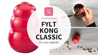 KONG Classic med t&oslash;rrf&ocirc;r | Dyrekassen.no