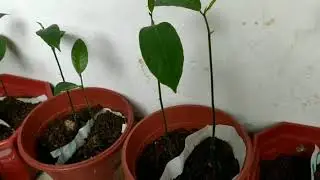 Journey so far ... #HappyGrowing🌱❤️