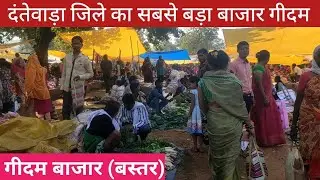 दंतेवाड़ा जिला का सबसे बड़ा बाजार गीदम ||  Geedam Big Market || Bastar Primitive Life's