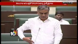 TS Assembly | Question Hours Minister Harish Rao Review given  on Irrigation Projects | 10TV