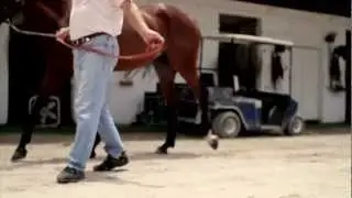 Pompano Park Promo Video