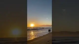 A Couple Walking on the Beach #shorts