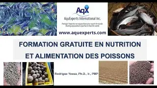 Formation gratuite en nutrition et alimentation des poissons