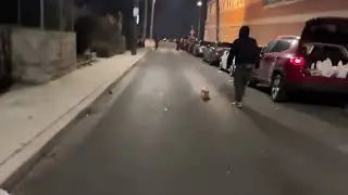 New year 2026 fireworks battle
