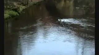 Crossing the Kelvin