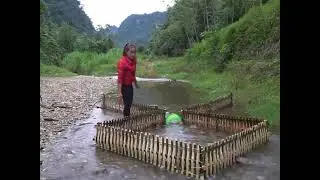 Making a fish trap should attract big fish, right?#shortsviral #trending #viralvideos #fishing 
