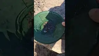 silver prospecting upstate new york #nature #silver #prospecting #upstatenewyork