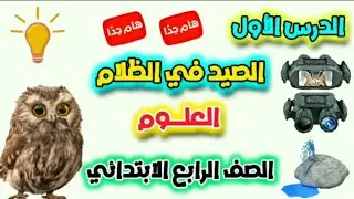 الصيد في الظلام الدرس الاول من مادة العلوم للصف الرابع الابتدائي الفصل الدراسي الأول لعام 2026