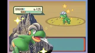 Live Shiny Bagon after 2,868 Random Encounters in Ruby! (+Evolutions)