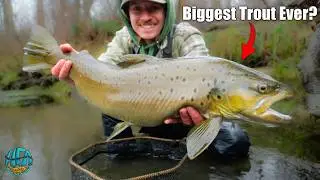 I NEVER Should Have Landed This Fish... My Biggest Trout in Years!