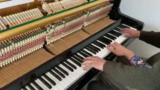 CRAZY CROSS HANDS BOOGIE WOOGIE PIANO 4 HANDS 1 PIANO 🎹 SUPER DIFFICULT