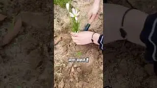 Small Shovel for Your Garden #amazon #ytviral #ytshorts #gardeningtools #gardeningideas #gardening