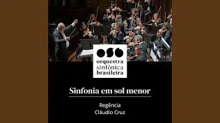 Ii. Andante Quasi Ad&aacute;gio (Ao Vivo)