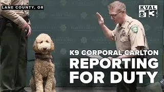 K9 Corporal Carlton Sworn in to Serve for the Lane County Sheriff's Office