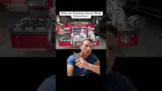 Why Do Firefighters Use Dalmatian Dogs? #shorts #greenscreen #facts #history #trending