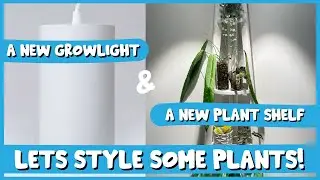PLANT STYLING My Bedroom! | Feat. A New Grow Light