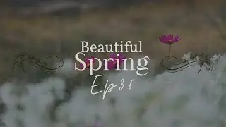 Relaxing Spring Atmosphere with Beautiful Spring Flowers