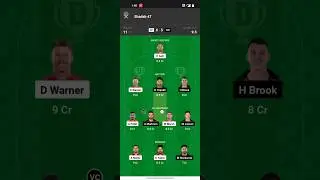 dream 11 gl team win 2cr rupees|#SRHvsDC#dream #dream11 #ytshorts #shorts #ipl