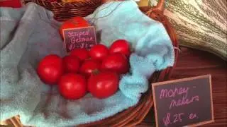Wardensville Garden Market grows opportunities, too
