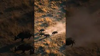 drone view from above showing a group 1
