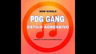 PDG GANG-_-ESTILO AGRESSIVO (360).