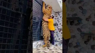 Tiger attack on diana cage 😱(mian saqib)