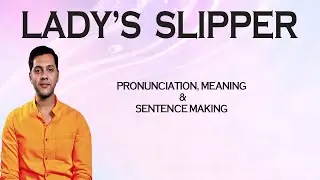 Lady's Slipper - Meaning_&_Pronunciation_Word_World_Audio_Video_Dictionary