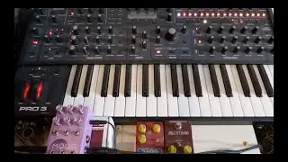 Sequential Pro 3 & Chase Bliss Audio Mood Mk2