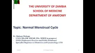 Menstrual Cycle - by Dr Mukape