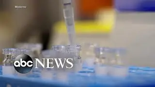 Coronavirus vaccine setback as researches confirm case with repeat infection