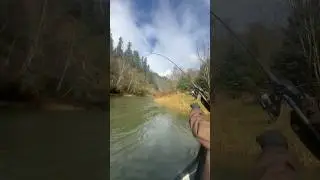 For SC Guided Fishing they like to enter the boat in twos! 🎣