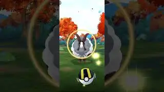 Wild DUBWOOL Appeared&hellip; and I Caught It! 💫🐏 #PokemonGO #PokemonShorts #RareFind #pokemon #gaming