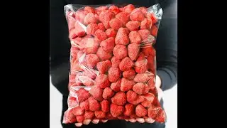 CHAUCER Freeze drying