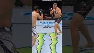 K.O hook💥🤯 #ufc #bellator #combatsport #mma #martialart #wwe #combattechniques #mmaboxing #boxing