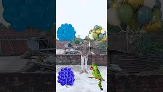 || Balloon to the🥰 Tota, Kabutar, Mor, Hans || #vfx / #shorts / #viral 🔥