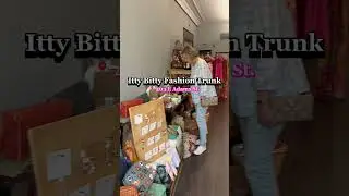 Lets Go Shopping at the Itty Bitty Fashion Trunk in Springfield, Illinois
