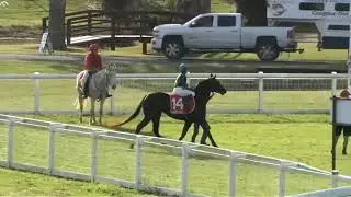 IN AUSTRALIA TODAY AT  06:55   Kilcoy  KILCOY KILCOY LIVE RACE