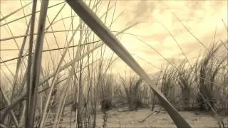 xavier rudd hope that you&acute;ll stay (un)officiall video filmkunst