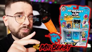 Mr Beast ZSÁKBAMACSKA TESZT