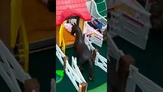 Visite du ce la licorne multicouleurs 1/2