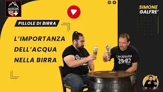PILLOLE DI BIRRA - L'IMPORTANZA DELL'ACQUA NELLA BIRRA