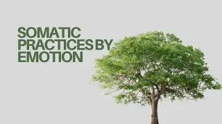 Feeling Overwhelmed? Try These Somatic Tools for Emotional Release Ep 7
