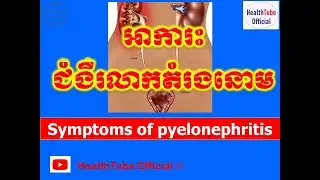 អាការះជំងឺរលាកតំរងនោម l Symptoms of pyelonephritisl HealthTube Official