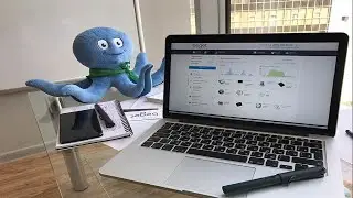 Как выбрать хостинг для успешного веб-проекта?