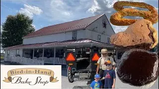 Bird In Hand Bake Shop & Amish Horse and Buggy Ride | Bird In Hand, Pennsylvania
