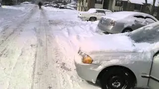 Snowstorm (2015)