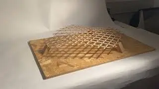 Sunpath around gridshell canopy