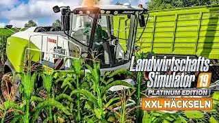 LS19 Platinum: Das große MAISHÄCKSELN mit dem CLAAS DLC! I Farming Simulator 19 Platinum Edition