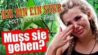 Dschungelcamp 2024: KIM muss RAUS?